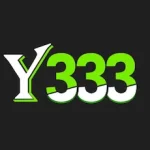 Y333 Game